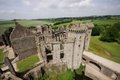 Raglan Castle image 5