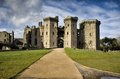Raglan Castle image 7
