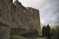Raglan Castle image 10