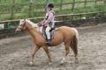 Ranch House Riding Stables image 1