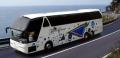 Reays Coaches Limited image 1