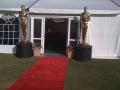 Red Carpet Hire image 5