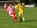Redhill Football Club image 4