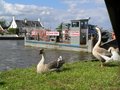 Reedham Ferry Norfolk image 5