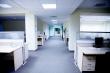 Regency Cleaning & Maintenance Ltd image 3
