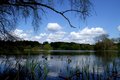 Renishaw Hall image 6