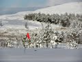 Rhondda Golf Club logo