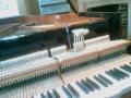 Richard Roberts - Piano Tuner & Technician image 2