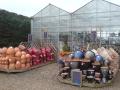 Ridgeway Nurseries image 2