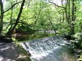 Rivelin Valley image 1