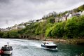 River Looe image 6
