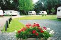 Riverside Caravan Park image 1