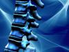 Robert Bateman Doctor of Chiropractic image 3