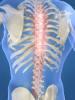 Robert Bateman Doctor of Chiropractic image 8