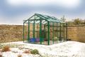 Robinsons Greenhouses image 5