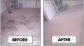 Roboclean Carpet Cleaning image 4