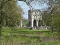 Roche Abbey image 10