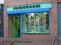 Rock Boom Records image 1