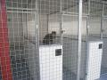 Rosegate Kennels, Cattery and Small Animal Boarding image 3