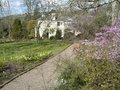 Rosemoor Garden image 4