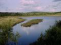 Rother Valley Country Park image 3