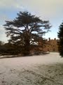 Rowton Castle image 3