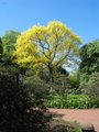 Royal Botanic Garden Edinburgh image 9