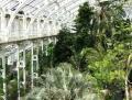 Royal Botanic Gardens, Kew image 6
