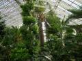 Royal Botanic Gardens, Kew image 10
