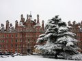 Royal Holloway, University of London image 9