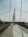 Royal Victoria Dock Bridge image 5