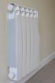 Royale Radiators from the Economy Radiator Co. image 4