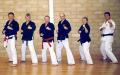 Ryukyu Association of Karate and Gung Fu (Ryukyu School of Martial Arts) image 5