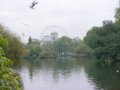 Saint James Park image 4