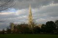 Salisbury Cathedral image 4