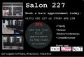 Salon 227 logo