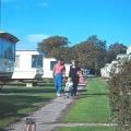 Sandyholme Holiday Park image 1