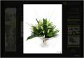 Sarah's Florist Online Shop image 3
