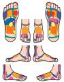 Sarah Jane Deacon - Reflexology image 3