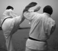 Satori Martial Arts image 1