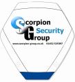 Scorpion Group Security & CCTV Cameras - Cheltenham image 4