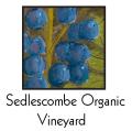 Sedlescombe Organic Vineyard logo
