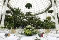 Sefton Park Palm House Preservation Trust image 3