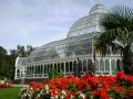 Sefton Park Palm House Preservation Trust image 9