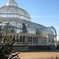 Sefton Park Palm House Preservation Trust image 10