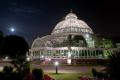 Sefton Park Palm House Preservation Trust logo