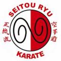 Seitou Ryu Karate image 6