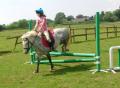 Sevenoaks Riding Centre image 2
