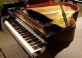 Shackell Pianos image 6