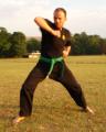 Shaolin Kung Fu Nam Pai Chuan image 7